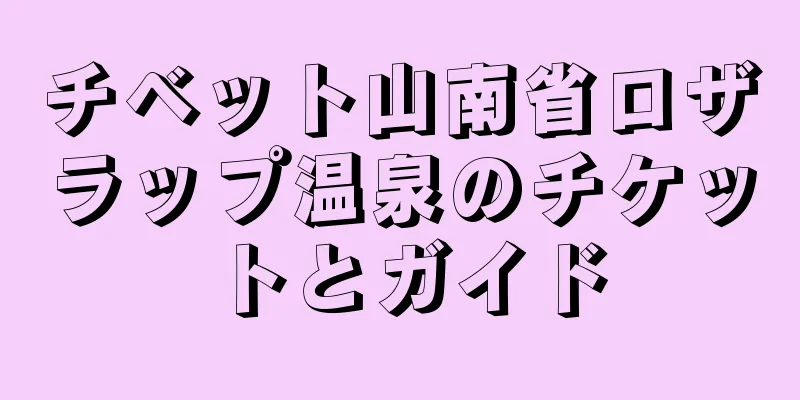チベット山南省ロザラップ温泉のチケットとガイド