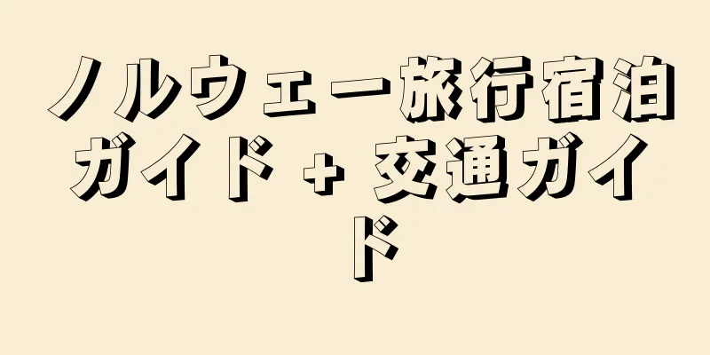 ノルウェー旅行宿泊ガイド + 交通ガイド