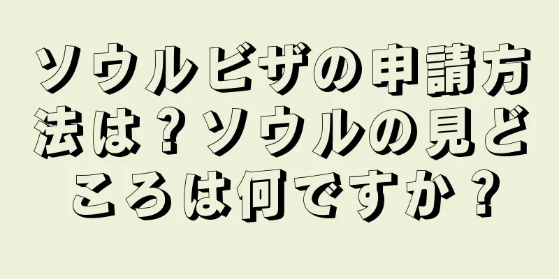 ソウルビザの申請方法は？ソウルの見どころは何ですか？