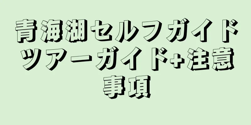 青海湖セルフガイドツアーガイド+注意事項