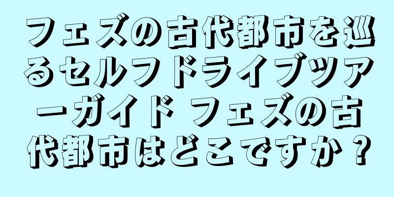 フェズの古代都市を巡るセルフドライブツアーガイド フェズの古代都市はどこですか？