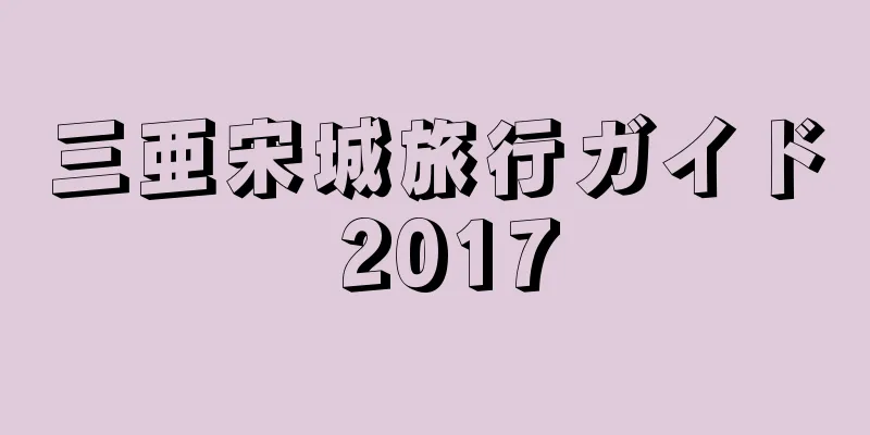三亜宋城旅行ガイド 2017
