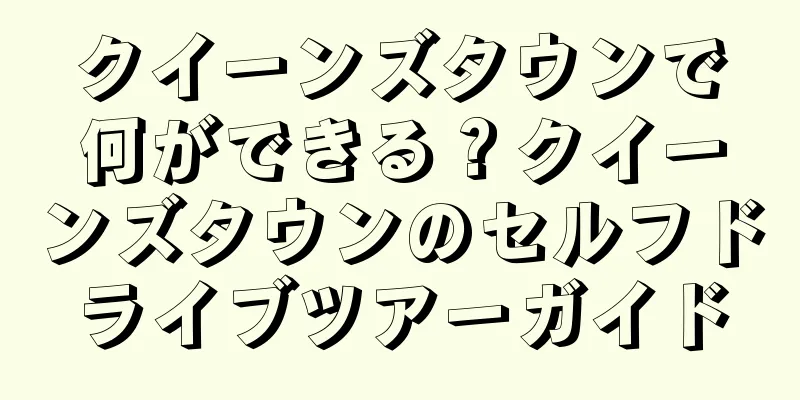 クイーンズタウンで何ができる？クイーンズタウンのセルフドライブツアーガイド
