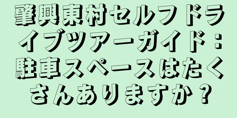 肇興東村セルフドライブツアーガイド：駐車スペースはたくさんありますか？