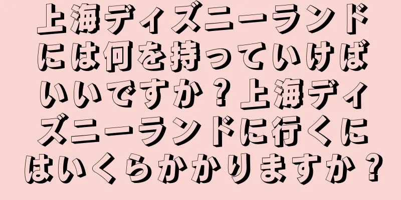 上海ディズニーランドには何を持っていけばいいですか？上海ディズニーランドに行くにはいくらかかりますか？
