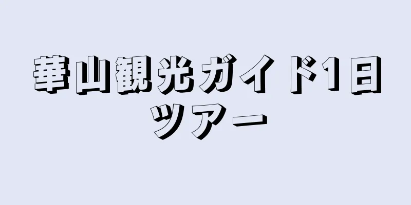 華山観光ガイド1日ツアー
