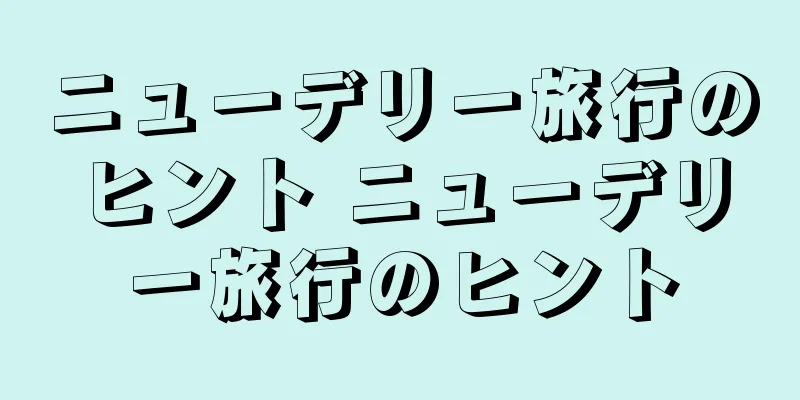 ニューデリー旅行のヒント ニューデリー旅行のヒント