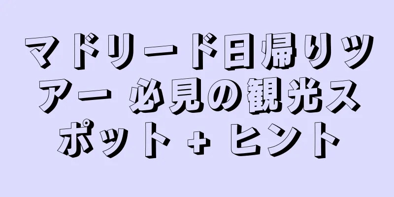 マドリード日帰りツアー 必見の観光スポット + ヒント