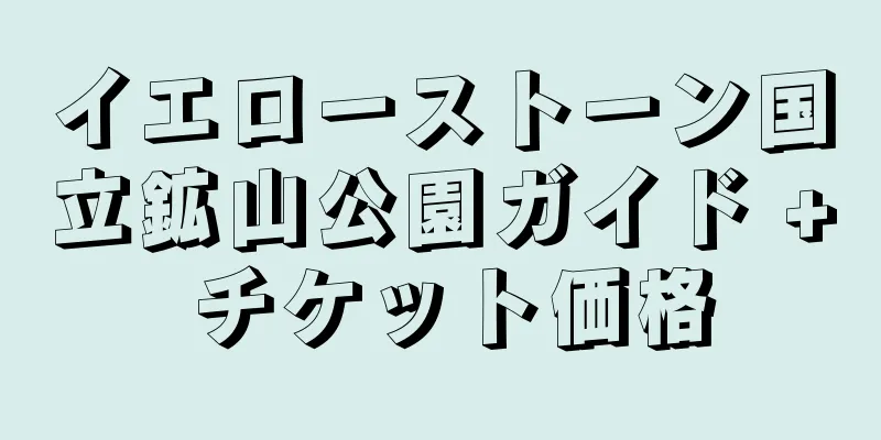 イエローストーン国立鉱山公園ガイド + チケット価格