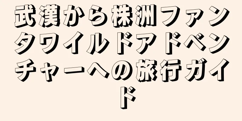 武漢から株洲ファンタワイルドアドベンチャーへの旅行ガイド