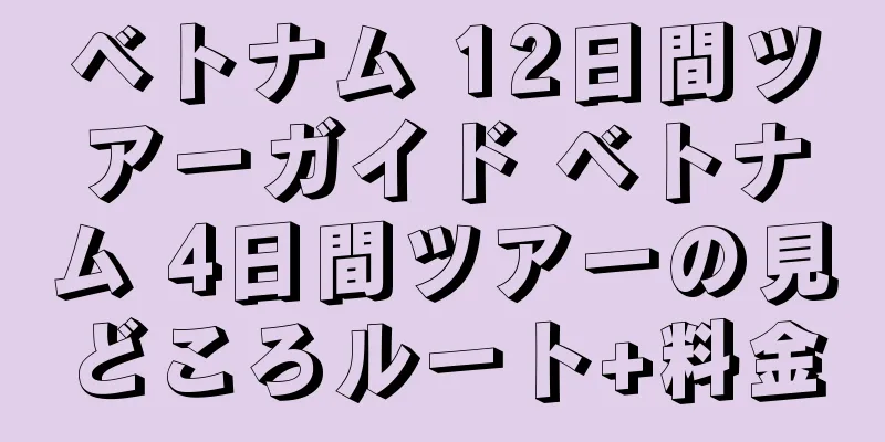 ベトナム 12日間ツアーガイド ベトナム 4日間ツアーの見どころルート+料金