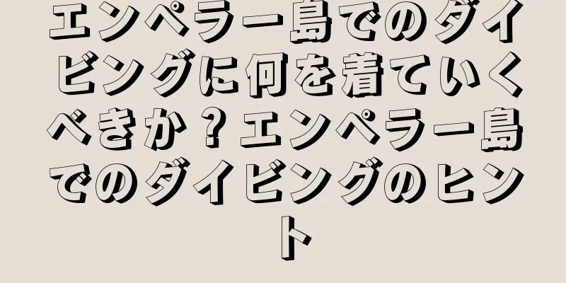 エンペラー島でのダイビングに何を着ていくべきか？エンペラー島でのダイビングのヒント