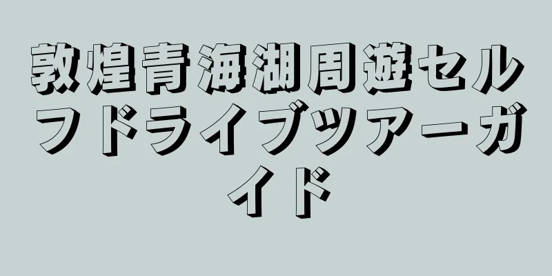 敦煌青海湖周遊セルフドライブツアーガイド