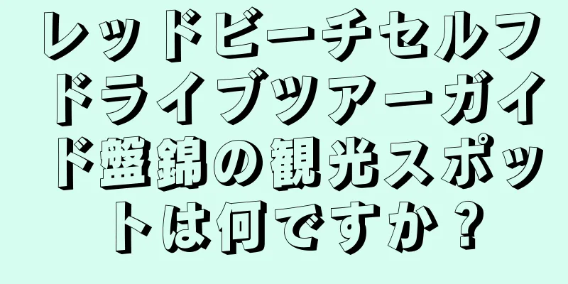 レッドビーチセルフドライブツアーガイド盤錦の観光スポットは何ですか？