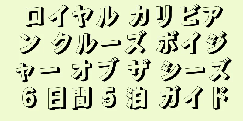 ロイヤル カリビアン クルーズ ボイジャー オブ ザ シーズ 6 日間 5 泊 ガイド