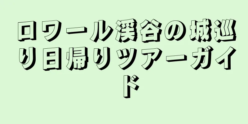 ロワール渓谷の城巡り日帰りツアーガイド