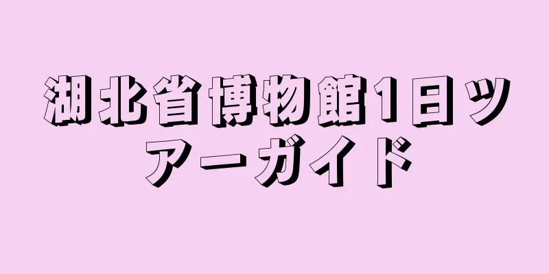 湖北省博物館1日ツアーガイド