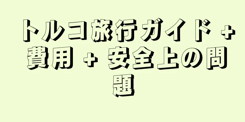 トルコ旅行ガイド + 費用 + 安全上の問題