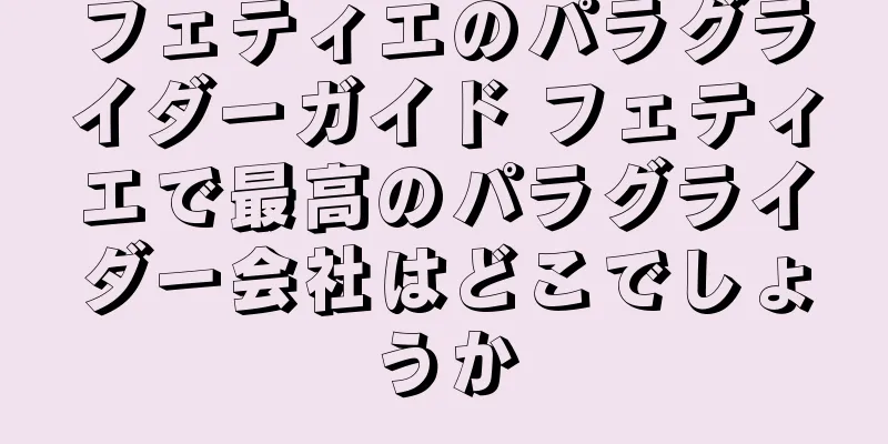 フェティエのパラグライダーガイド フェティエで最高のパラグライダー会社はどこでしょうか