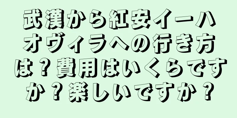 武漢から紅安イーハオヴィラへの行き方は？費用はいくらですか？楽しいですか？