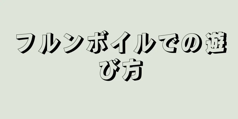 フルンボイルでの遊び方