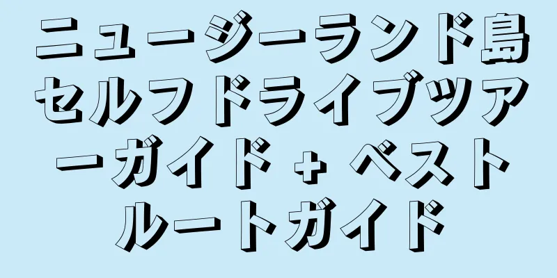 ニュージーランド島セルフドライブツアーガイド + ベストルートガイド