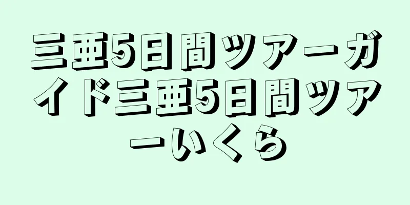 三亜5日間ツアーガイド三亜5日間ツアーいくら