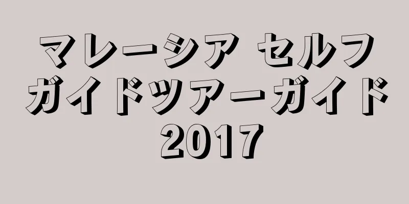 マレーシア セルフガイドツアーガイド 2017