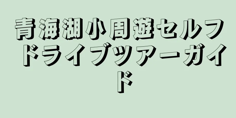 青海湖小周遊セルフドライブツアーガイド