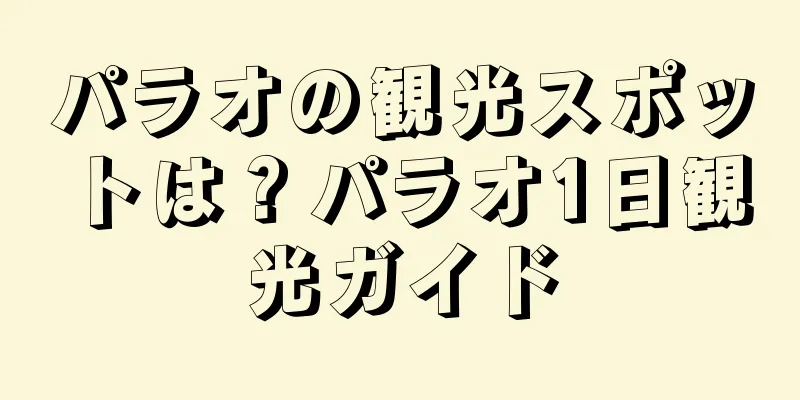 パラオの観光スポットは？パラオ1日観光ガイド