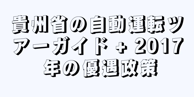 貴州省の自動運転ツアーガイド + 2017 年の優遇政策