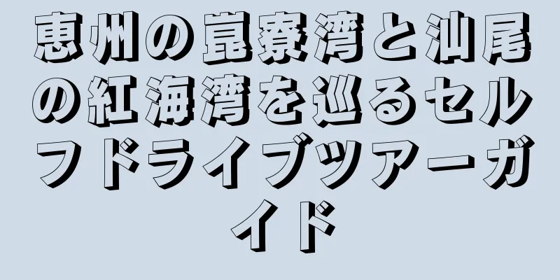 恵州の崑寮湾と汕尾の紅海湾を巡るセルフドライブツアーガイド