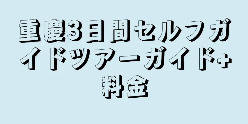 重慶3日間セルフガイドツアーガイド+料金