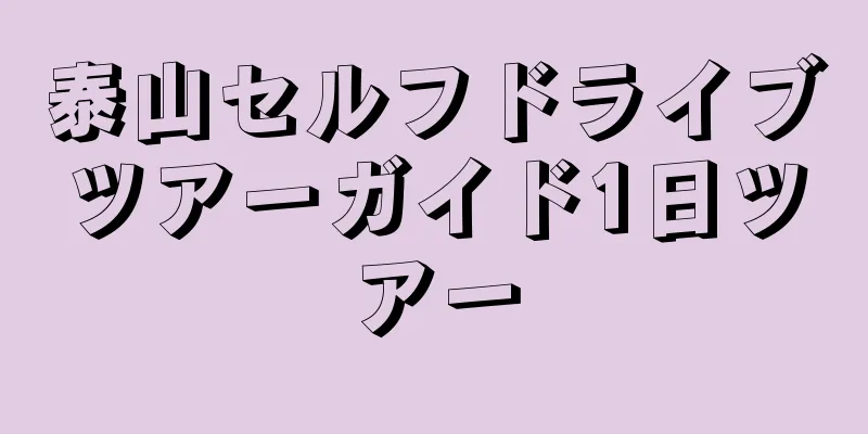 泰山セルフドライブツアーガイド1日ツアー