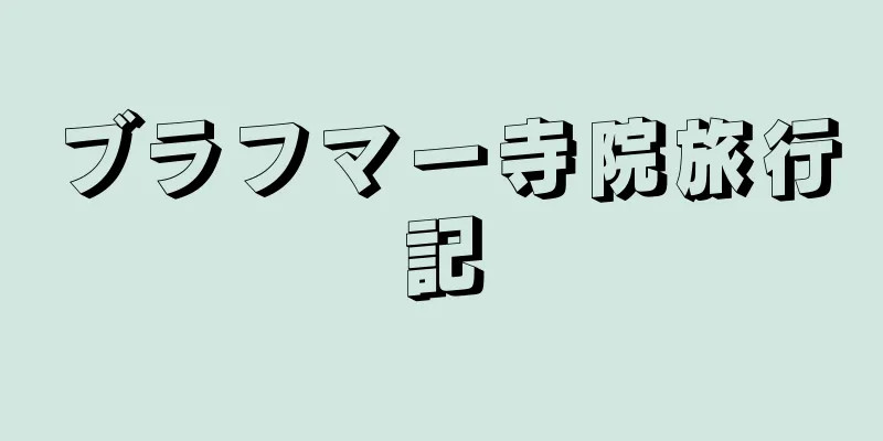 ブラフマー寺院旅行記
