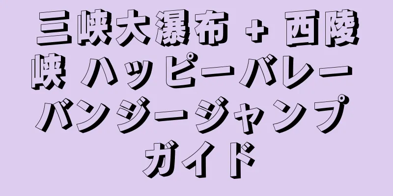 三峡大瀑布 + 西陵峡 ハッピーバレー バンジージャンプ ガイド