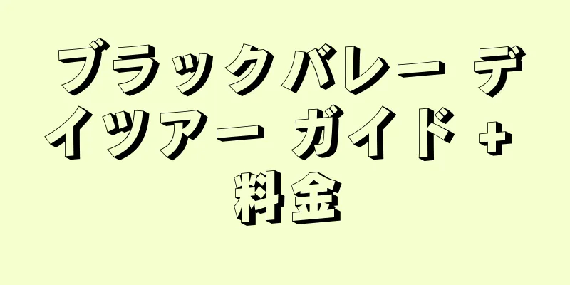 ブラックバレー デイツアー ガイド + 料金