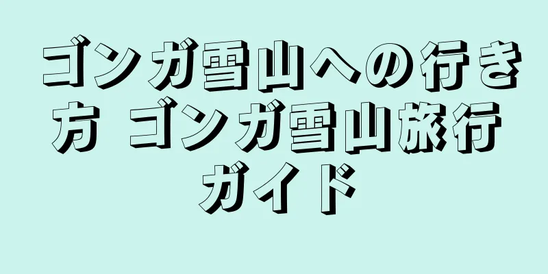 ゴンガ雪山への行き方 ゴンガ雪山旅行ガイド