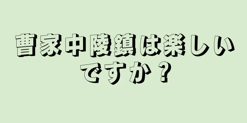 曹家中陵鎮は楽しいですか？