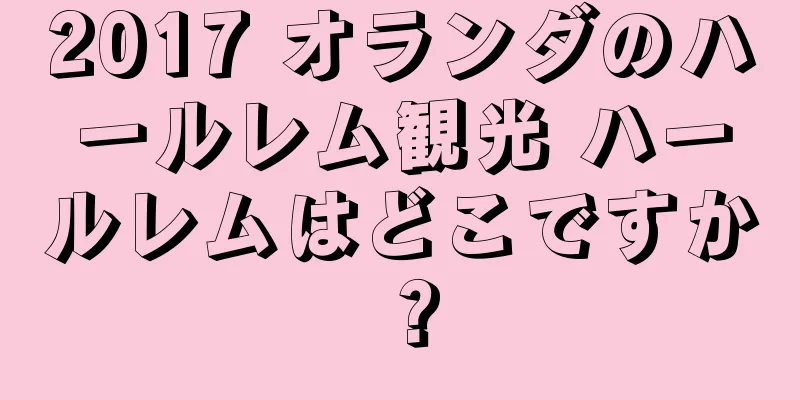 2017 オランダのハールレム観光 ハールレムはどこですか？