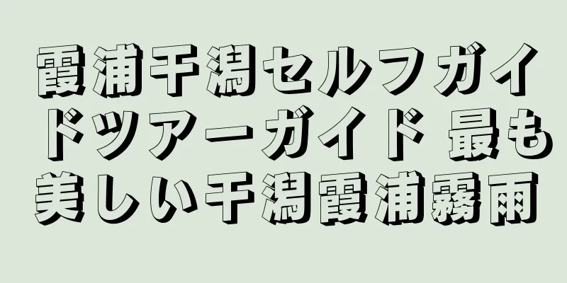 霞浦干潟セルフガイドツアーガイド 最も美しい干潟霞浦霧雨