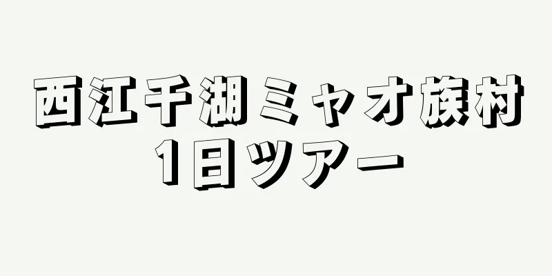 西江千湖ミャオ族村1日ツアー