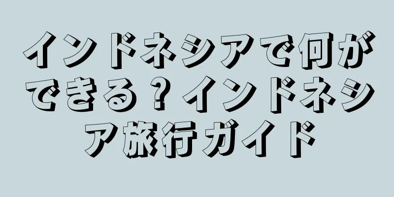 インドネシアで何ができる？インドネシア旅行ガイド