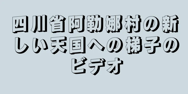 四川省阿勒娜村の新しい天国への梯子のビデオ