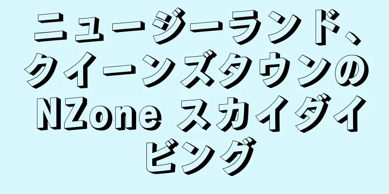 ニュージーランド、クイーンズタウンの NZone スカイダイビング