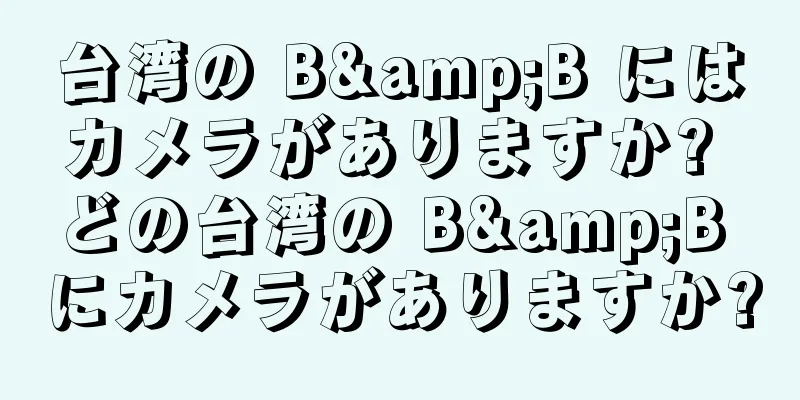 台湾の B&B にはカメラがありますか? どの台湾の B&B にカメラがありますか?