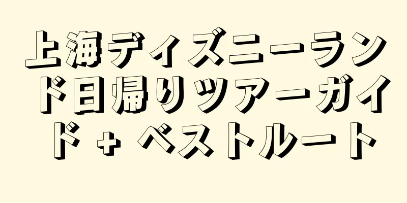 上海ディズニーランド日帰りツアーガイド + ベストルート