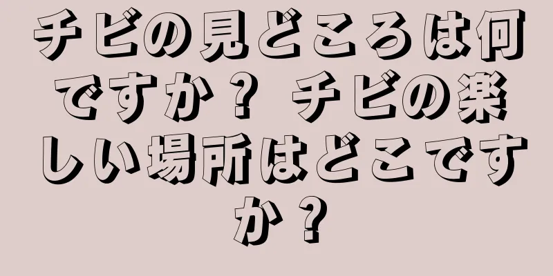チビの見どころは何ですか？ チビの楽しい場所はどこですか？