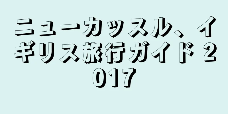 ニューカッスル、イギリス旅行ガイド 2017