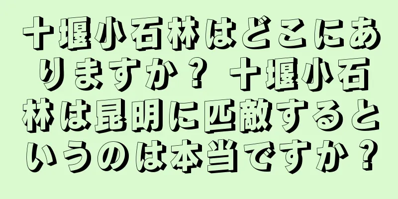 十堰小石林はどこにありますか？ 十堰小石林は昆明に匹敵するというのは本当ですか？